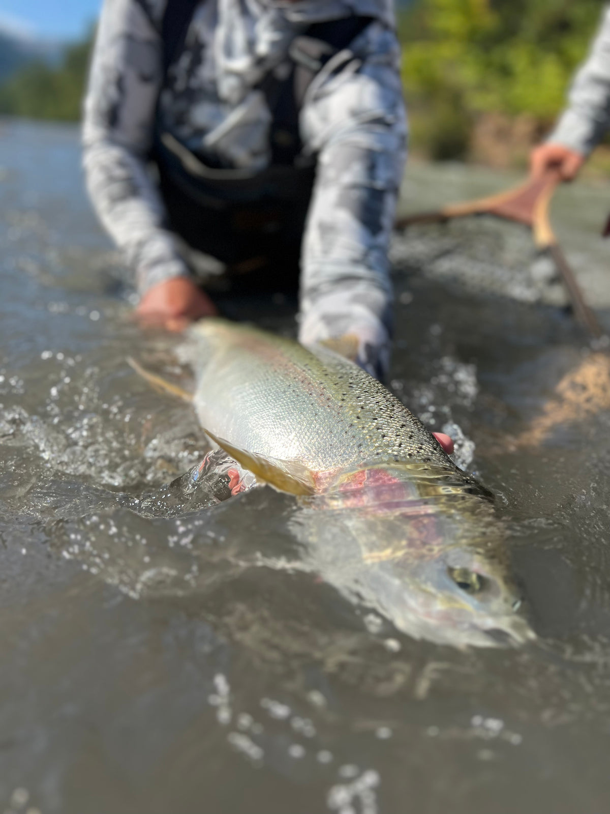 Klickitat River Flows and Fishing Conditions