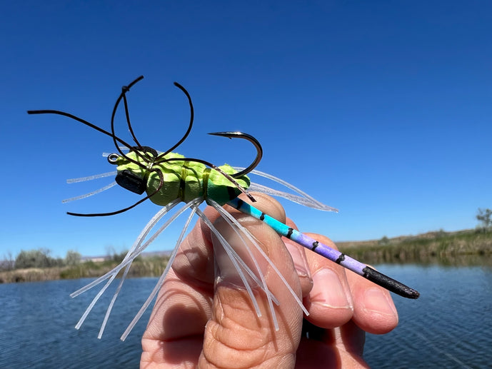 My Oh My Dragonfly pattern for bass