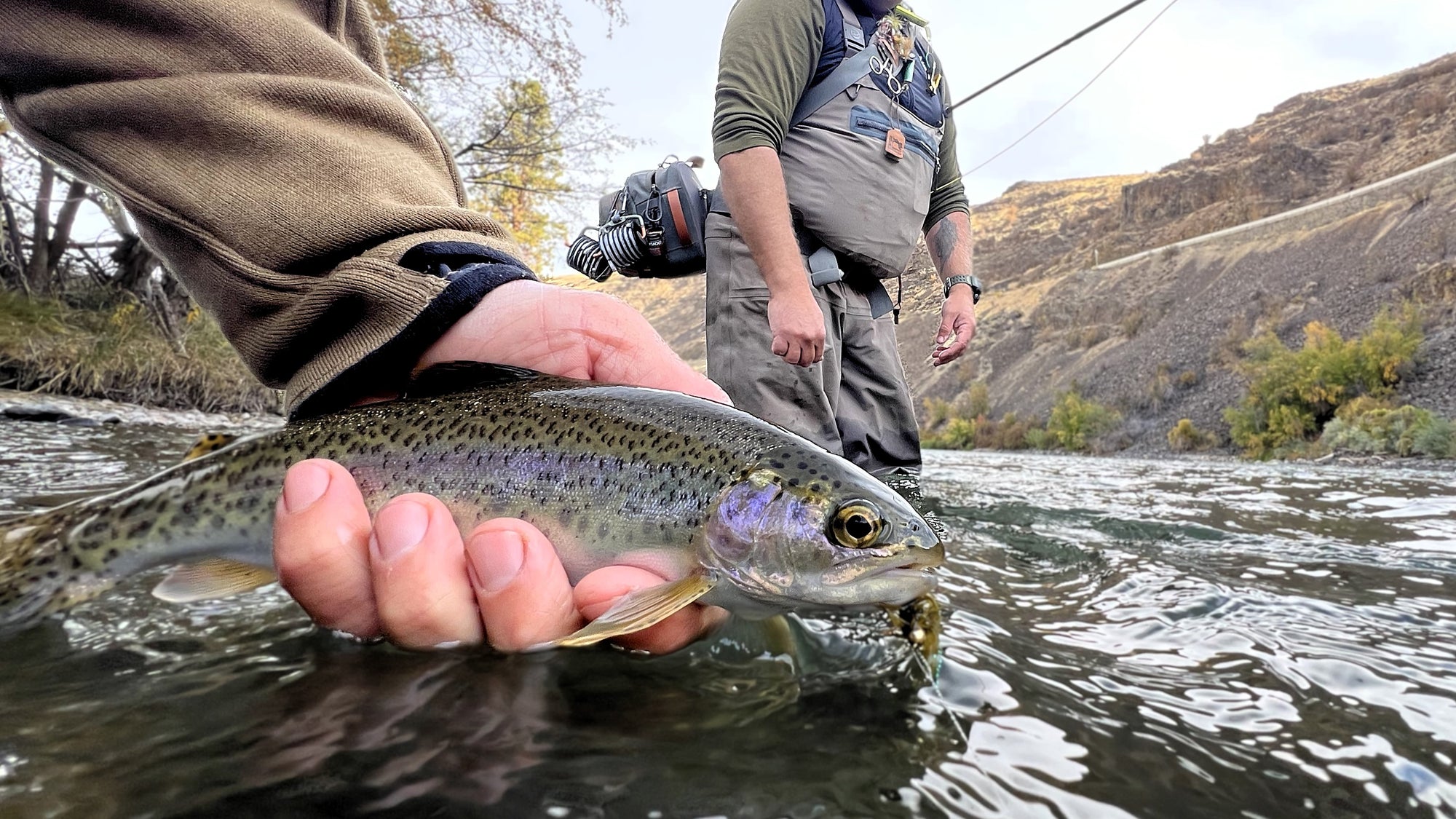 Trout Spey Class