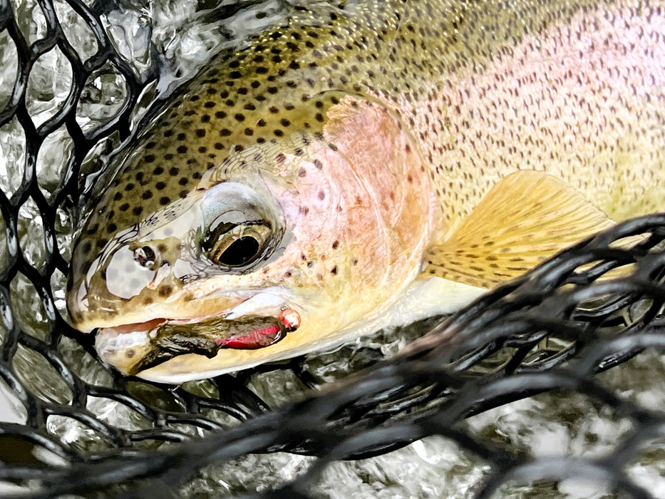 Tungsten Jig Squirrel Streamer by Solitude