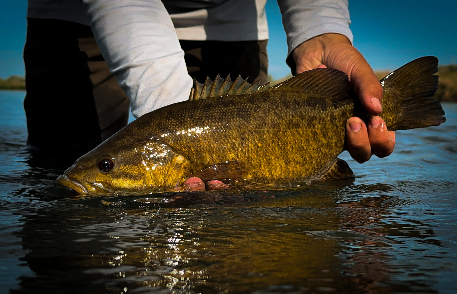 smallmouth bass guided fishing in eastern washington