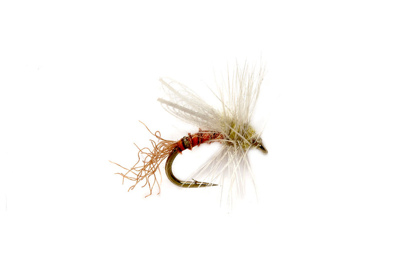 May fly emerger
