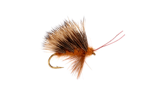 Burkus' Sedgeback October Caddis by Fulling Mill