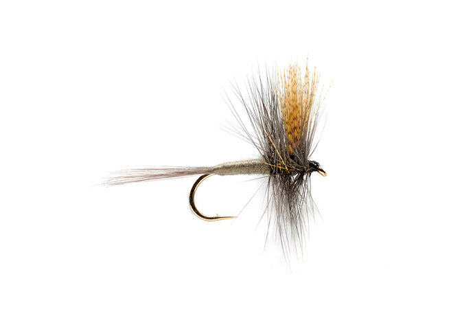 May fly dark hendrickson