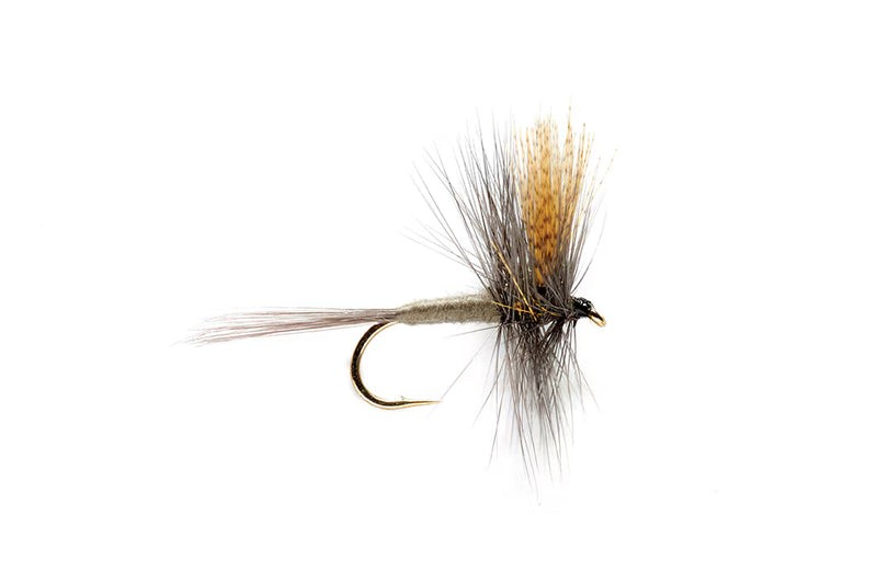 May fly dark hendrickson