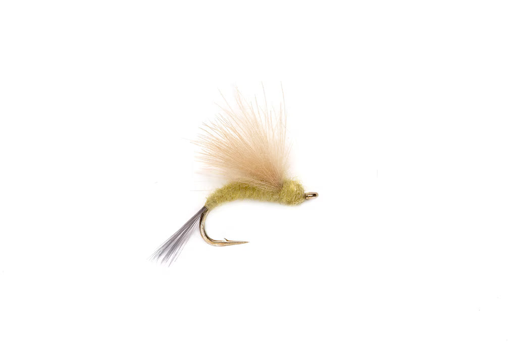 CDC Mayfly Emerger PMD By Fulling Mill