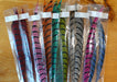 Lady Amherst feather halves by Spent Fly Fishing Products, premium fly tying feathers with vibrant barring and hand-dyed.
