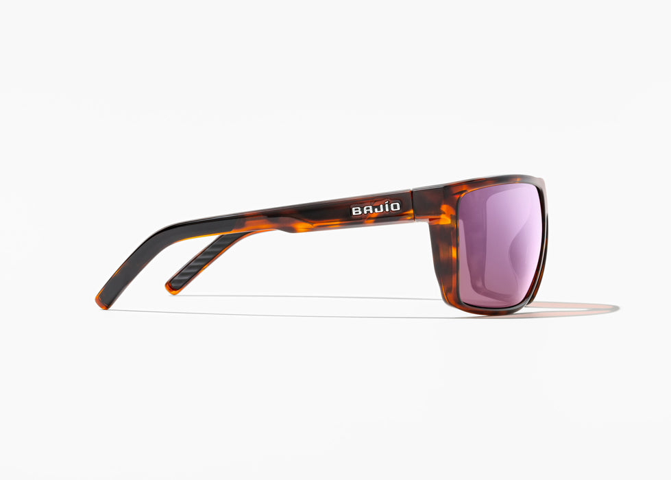 Bajio Toads Sunglasses