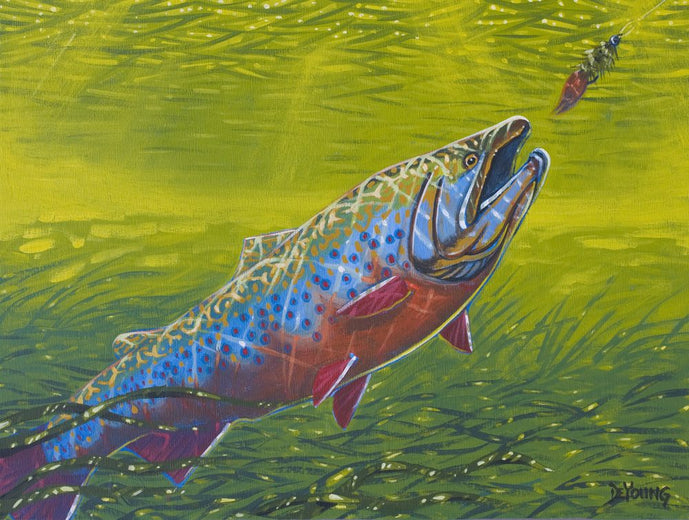 DeYoung Brookie On Leech Canvas Print
