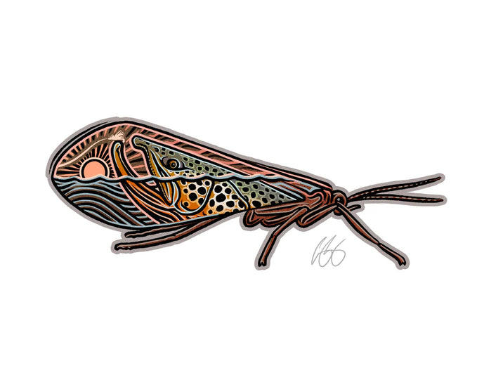 Casey Underwood Caddis-Scape Decal