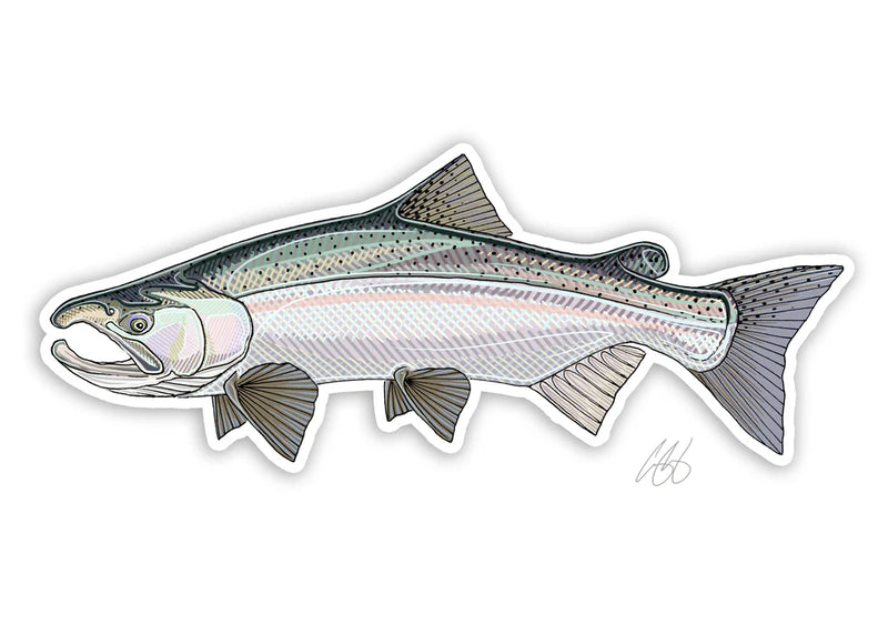 COHO decal