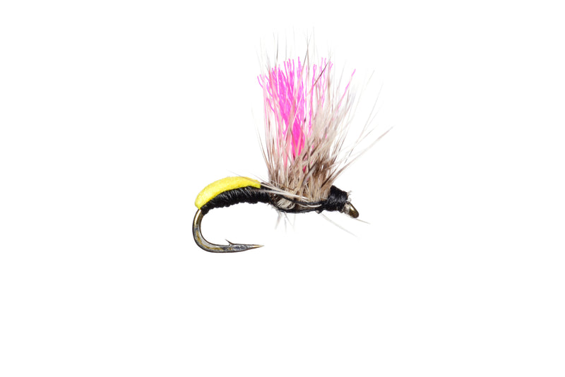 Drifting Midge By Solitude