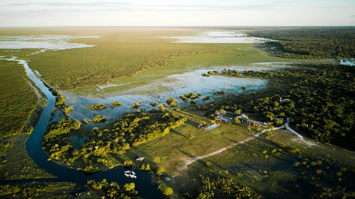 Golden Dorado Fly Fishing Trip in Argentina