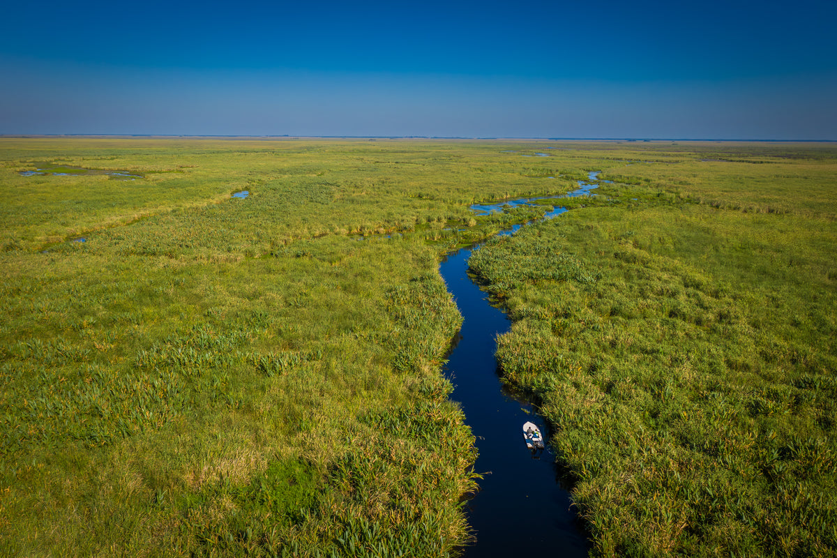 Golden Dorado Fly Fishing Trip in Argentina