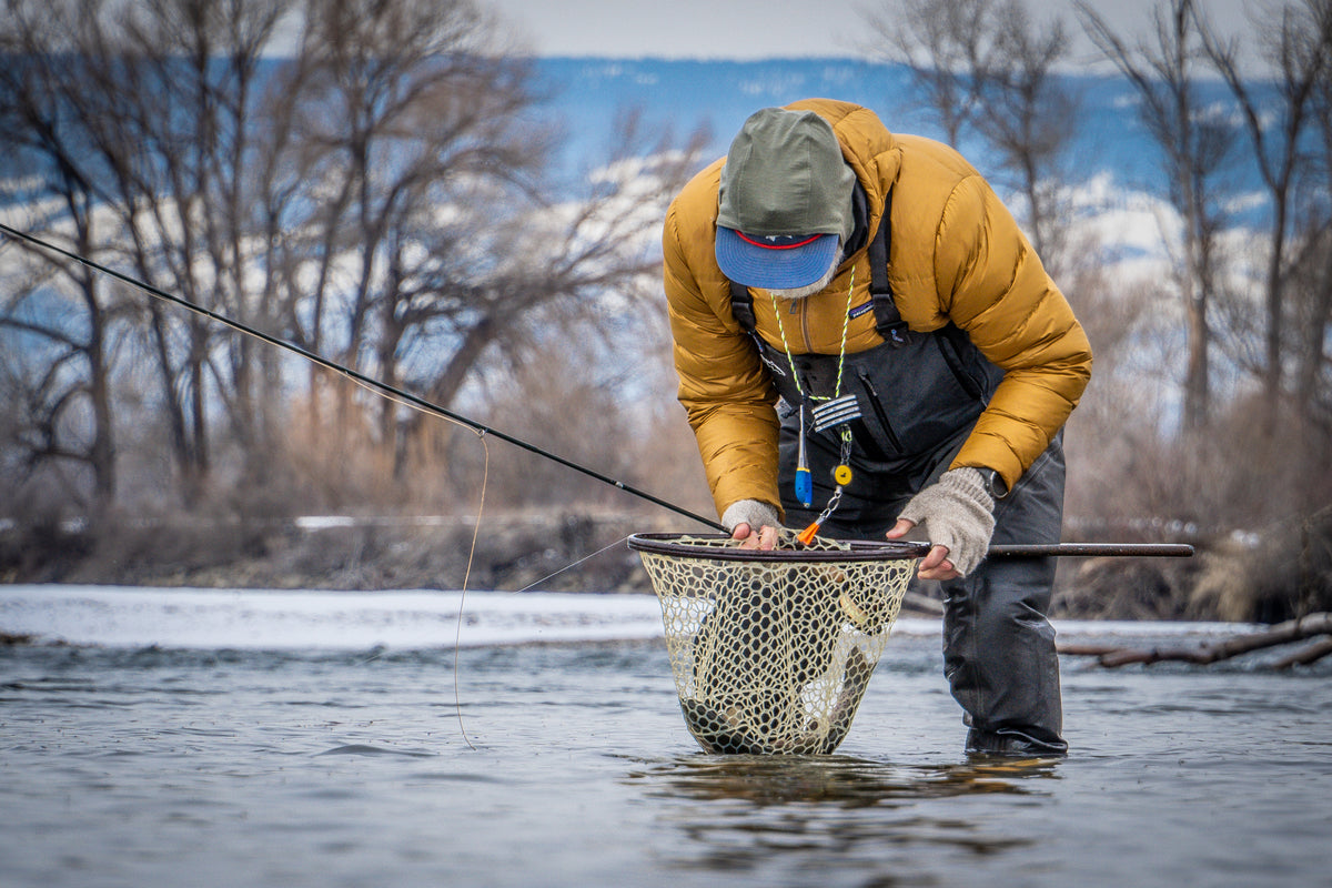 Yakima River Water Temperatures