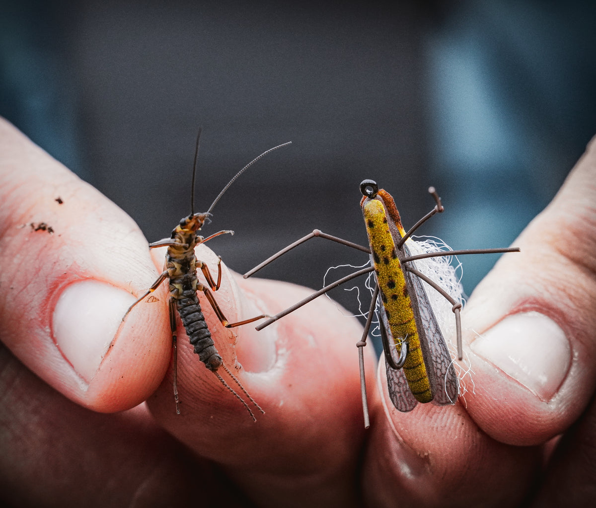The Best Yakima River Fly Fishing Guides
