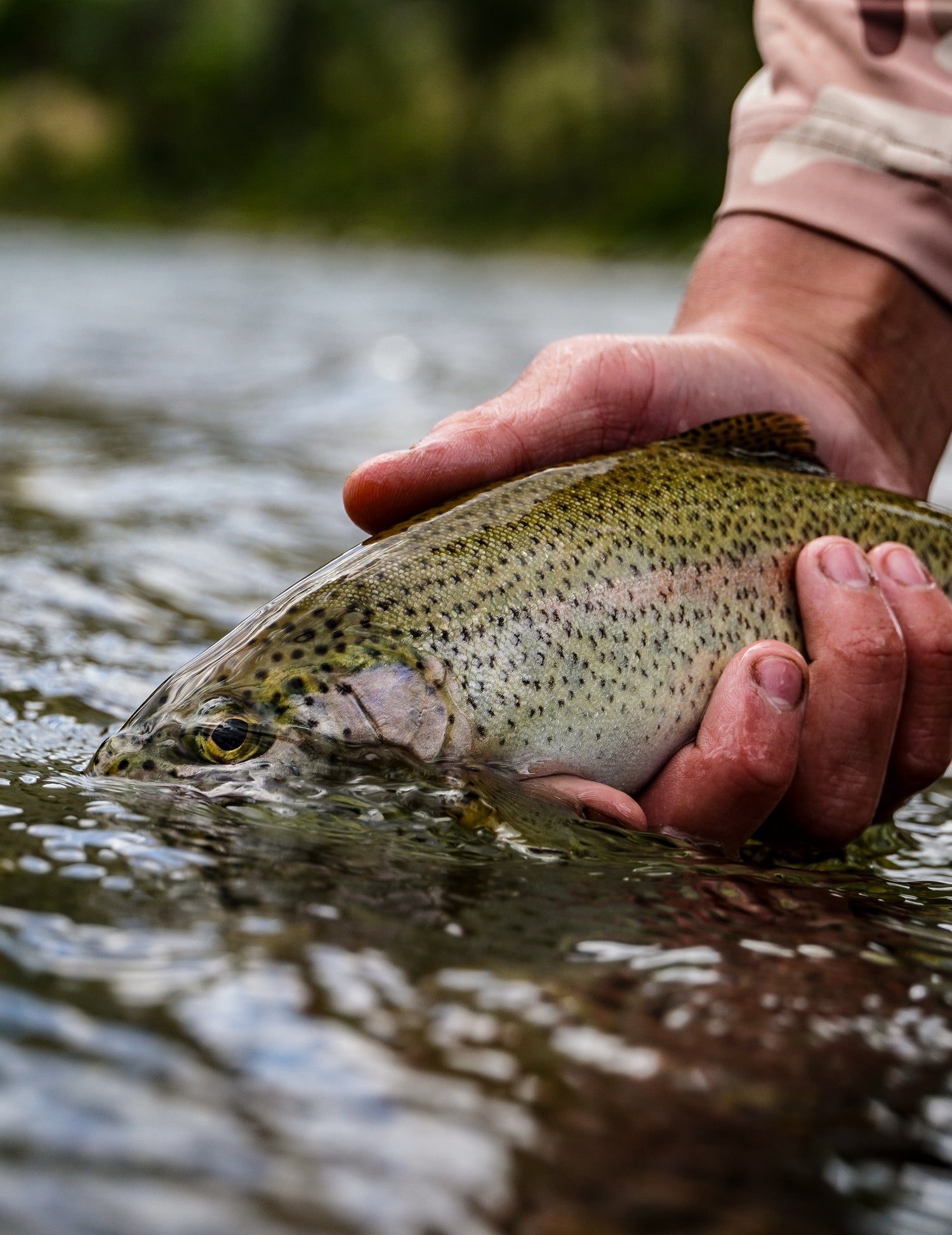 Deposit and Cancellation Policy