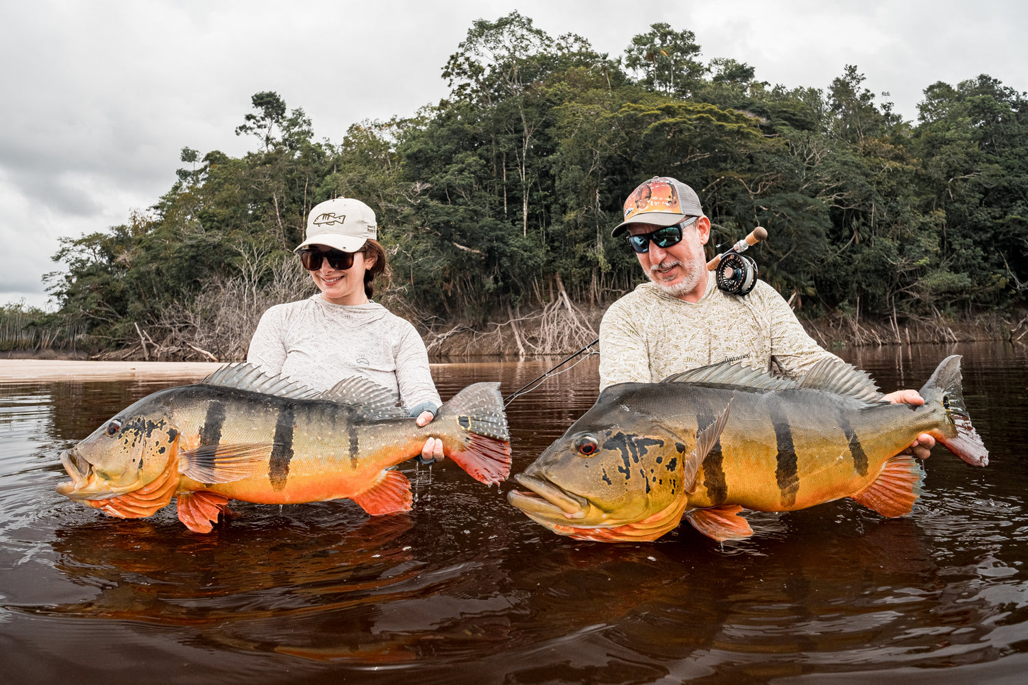 Rio Marie Peacock Bass Fly Fishing Trips