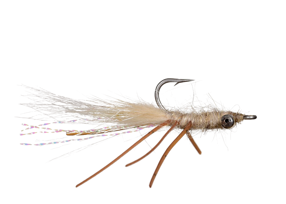 Ascension Bay | Complete Fly Kit for Permit, Tarpon, Bonefish, Cuda, Snook