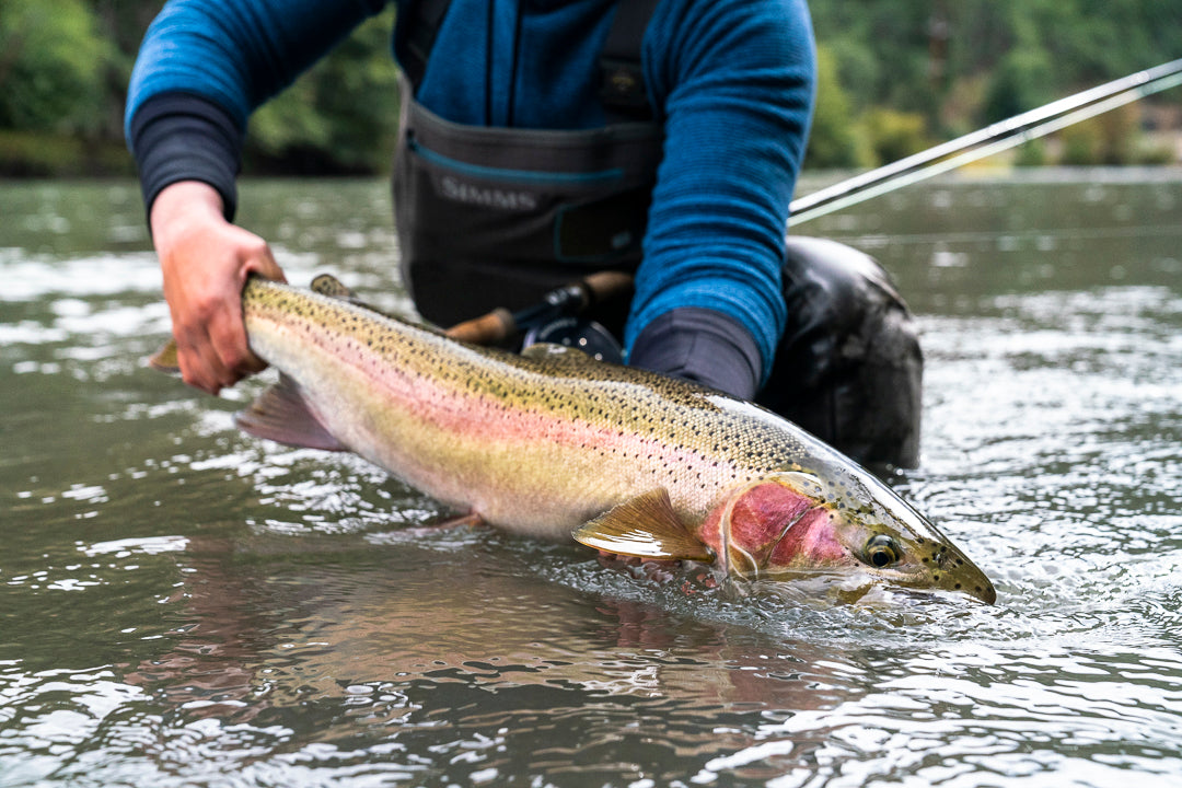 Klickitat River Steelhead Fly Fishing Trips