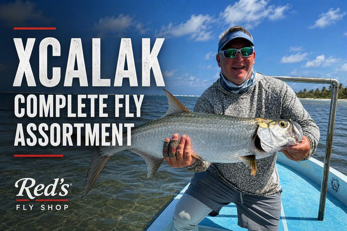 Xcalak  | Complete Fly List