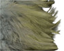 Heron gray Fish Hunter Saddle Hackle – soft, neutral-toned hackle feathers for subtle streamers, spey flies, and natural-looking wings.