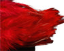 Maroon/wine Fish Hunter Saddle Hackle – deep red hackle feathers for steelhead, salmon, and moody attractor patterns.”