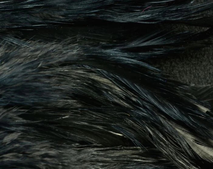 Black Fish Hunter Select Schlappen – classic dark feathers for leeches, buggers, and silhouette-rich streamers.
