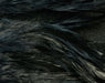 Black Fish Hunter Select Schlappen – classic dark feathers for leeches, buggers, and silhouette-rich streamers.