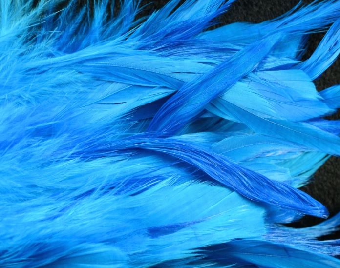 Dark turquoise Fish Hunter Select Schlappen – vibrant blue-green feathers for flashy baitfish streamers and saltwater patterns.