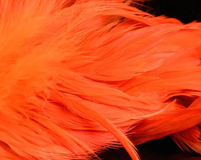 Fluorescent steelhead orange UV Fish Hunter Select Schlappen – high-visibility UV feathers perfect for intruders, streamers, and steelhead patterns.