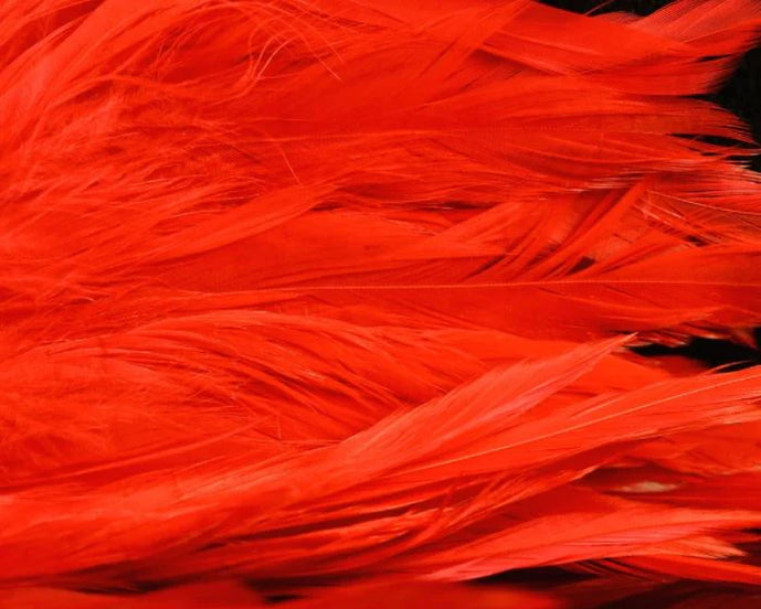 Hot red Fish Hunter Select Schlappen – intense red feathers great for steelhead intruders, leeches, and traditional salmon flies.