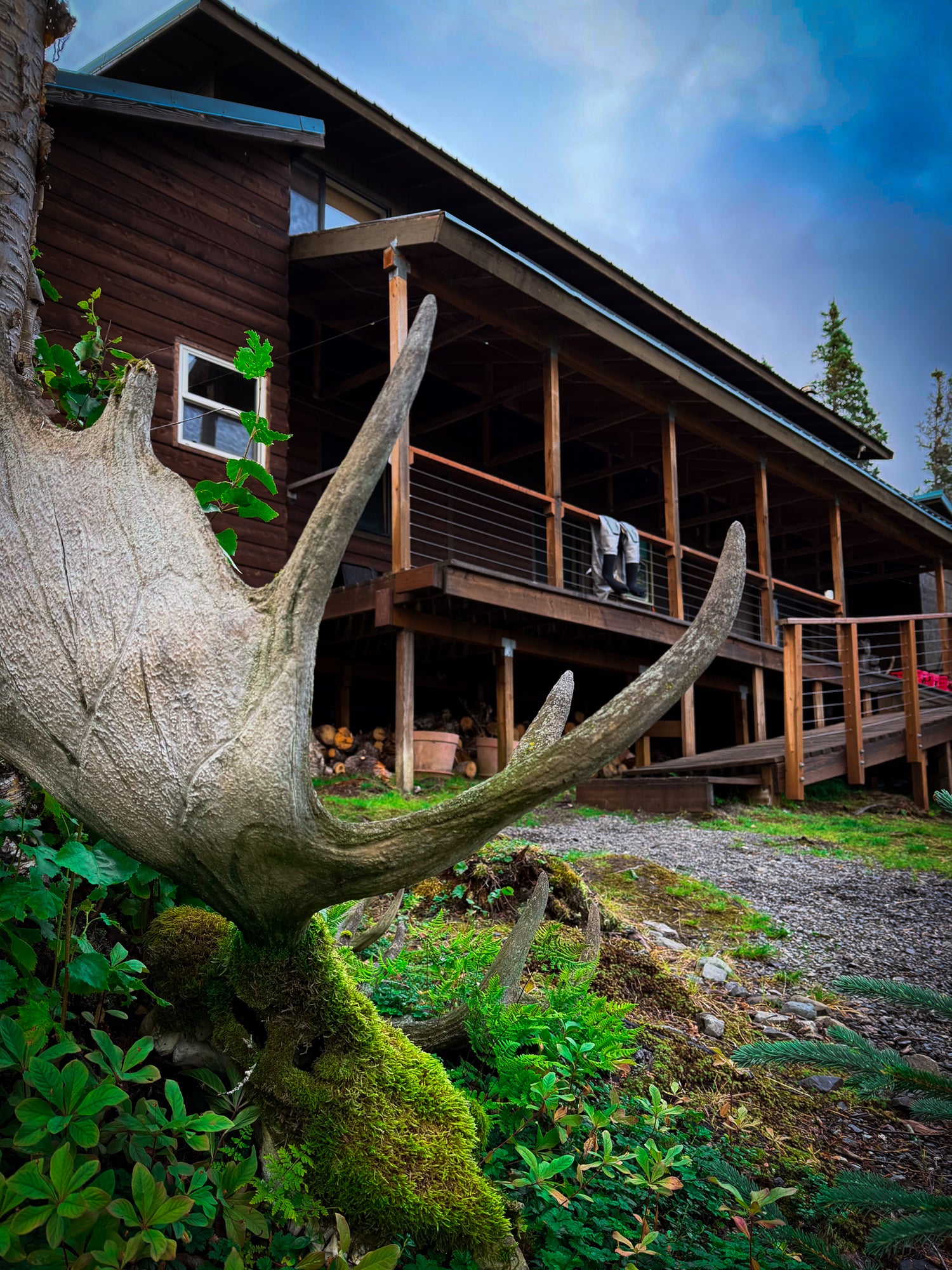 THE LODGE
