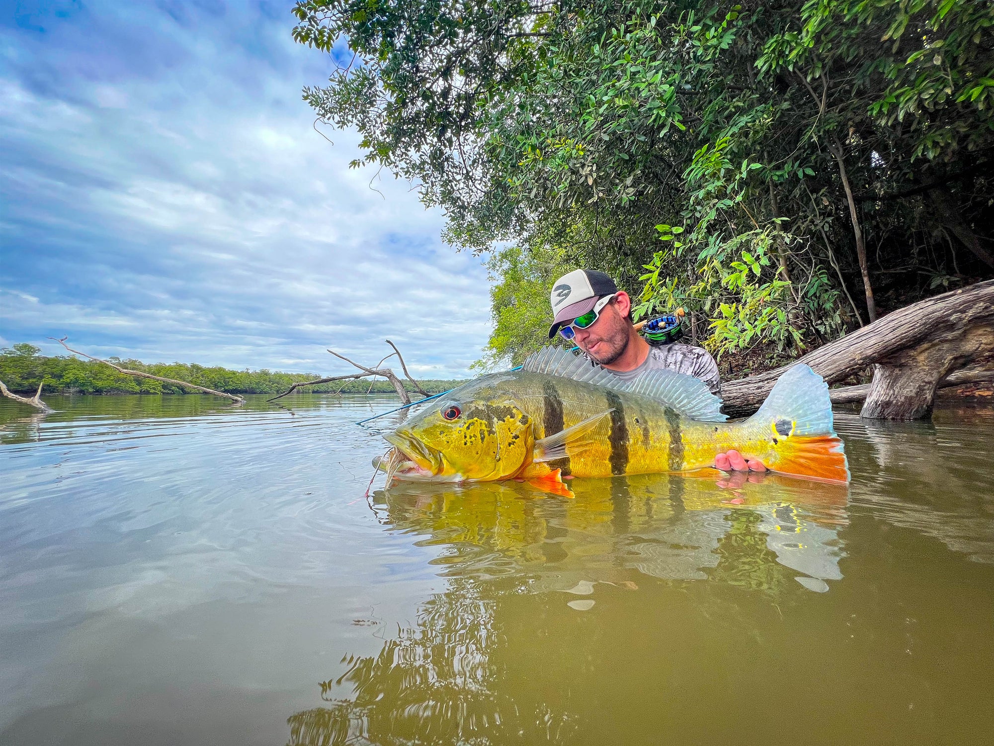Akuani River Lodge Peacock Bass