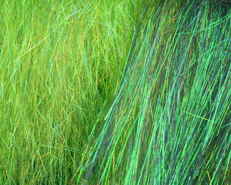 Ice Dub Minnow Back Shimmer Fringe in Chartreuse/Peacock – bold chartreuse shimmer with deep peacock accents, ideal for baitfish imitations and flashy streamers.