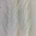 Ice white Mimic Faux Feather Brush – translucent synthetic brush for baitfish bellies, saltwater flies, and high-contrast streamers.