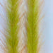 Glass minnow Mimic Faux Feather Brush – iridescent synthetic material perfect for clear-water baitfish patterns and flashy streamer bodies.
