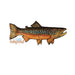 Fishpond "Local" Sticker
