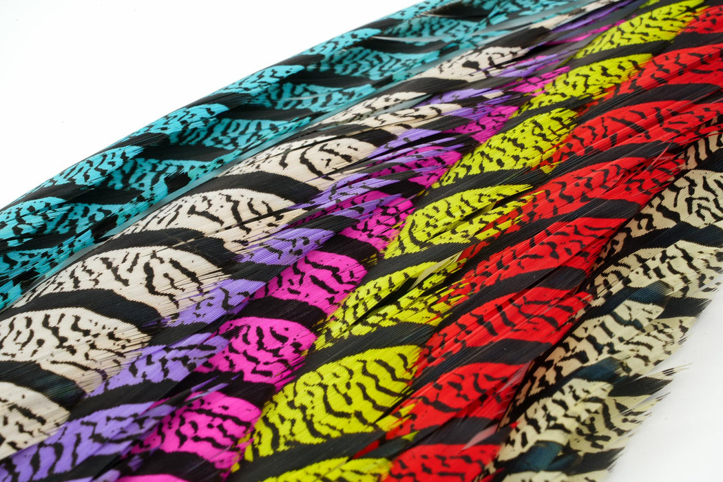 Lady Amherst Center Tail Feather by Hareline – long, barred feather with dramatic taper and movement, perfect for salmon flies, intruders, and accents.