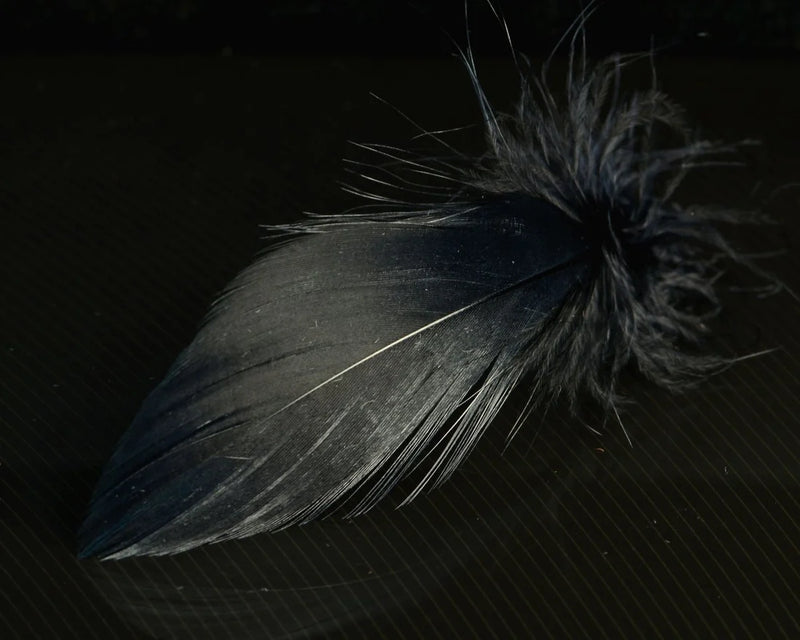 Mallard Spey feathers in black – sleek and naturally barred for elegant collars, wings, and classic spey-style flies.