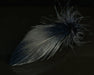 Mallard Spey feathers in black – sleek and naturally barred for elegant collars, wings, and classic spey-style flies.