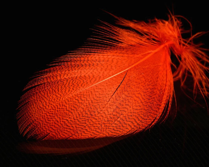 Mallard Spey feathers in hot orange – bold, long fibers with speckled texture for attention-grabbing steelhead and salmon fly collars.