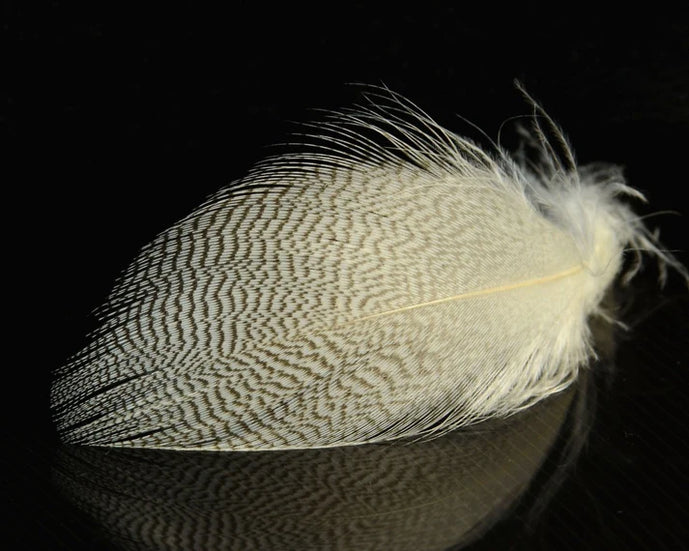 Natural Mallard Spey feathers – soft, barred plumage in earthy tones for traditional wet flies and subtle spey collars.