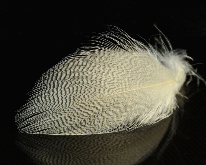 Natural Mallard Spey feathers – soft, barred plumage in earthy tones for traditional wet flies and subtle spey collars.