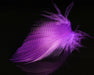 Mallard Spey feathers in purple – rich violet-dyed speckled fibers for vibrant salmon and steelhead fly patterns.