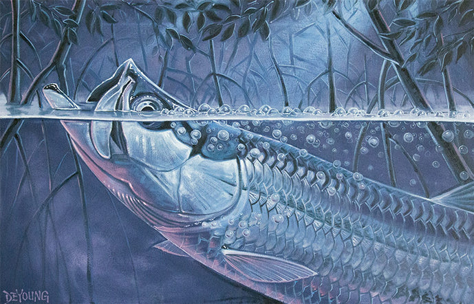 DeYoung Moonlit Mangroves Canvas Print