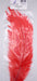 Red ostrich plume by Nature’s Spirit – bold scarlet fibers perfect for salmon flies, steelhead attractors, and hot-spot collars.