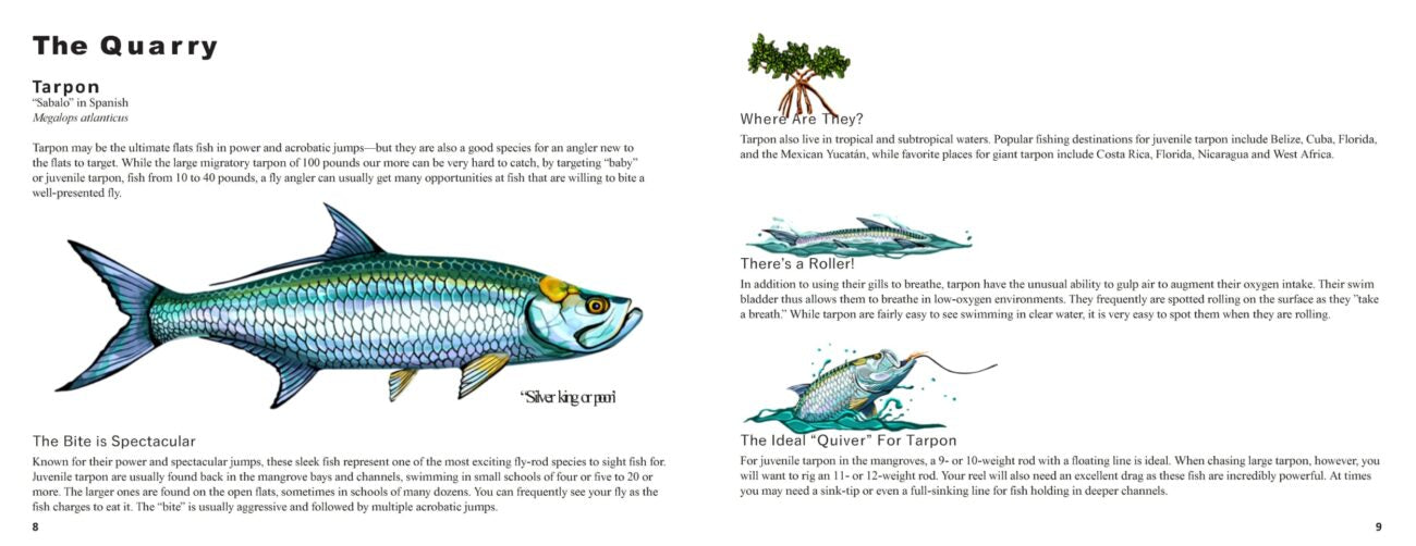 The Mangrove Diaries // Fly Fishing for Tarpon