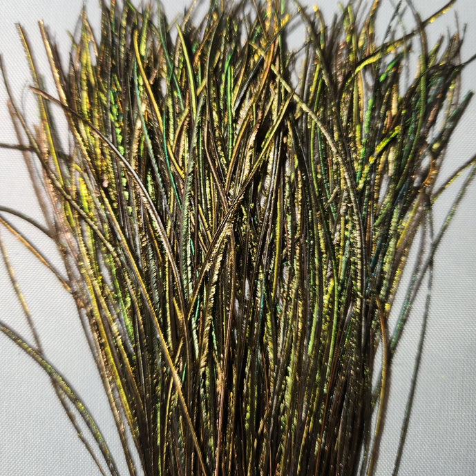 Peacock Strung Herl by Nature’s Spirit – 1/16 oz of iridescent natural fibers perfect for wrapping bodies, thoraxes, and collars on nymphs, dry flies, and classic wet patterns.