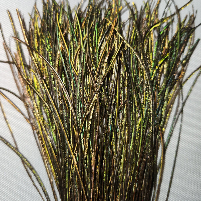 Peacock Strung Herl by Nature’s Spirit – 1/16 oz of iridescent natural fibers perfect for wrapping bodies, thoraxes, and collars on nymphs, dry flies, and classic wet patterns.